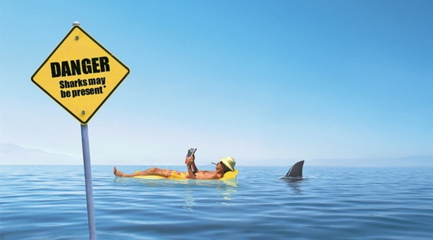 Be Shark Smart this summer